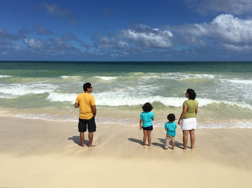 Oahu: Private Best of Oahu Sightseeing Tour - North Shore: beaches, Dole Plantation, and coffee