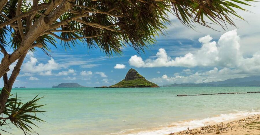 Oahu: Private Custom Island Tour - Blowholes, beaches, and the Windward coast