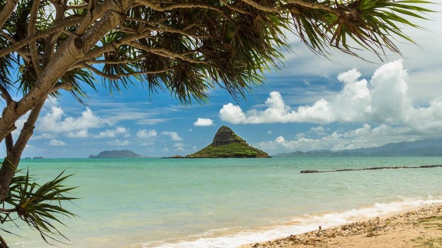 Oahu: Private Custom Island Tour - Macadamia nuts, Mokoliʻi, and Kualoa country
