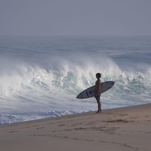 Oahu: Private Surfing Lesson with Local Big Wave Surfer - Wildlife and the North Shore setting