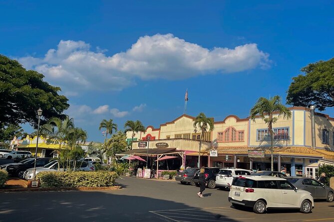Oahu Private Tour North Shore, Waimea Falls and Dole Plantation - Why this private North Shore route works