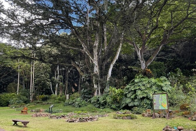 Oahu Private Tour North Shore, Waimea Falls and Dole Plantation - A flavorful pause at the macadamia farm
