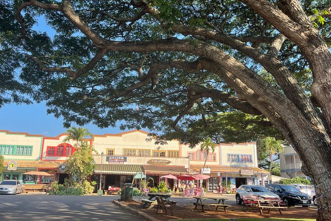 Oahu Private Tour North Shore, Waimea Falls and Dole Plantation - How much value do you get for $385?