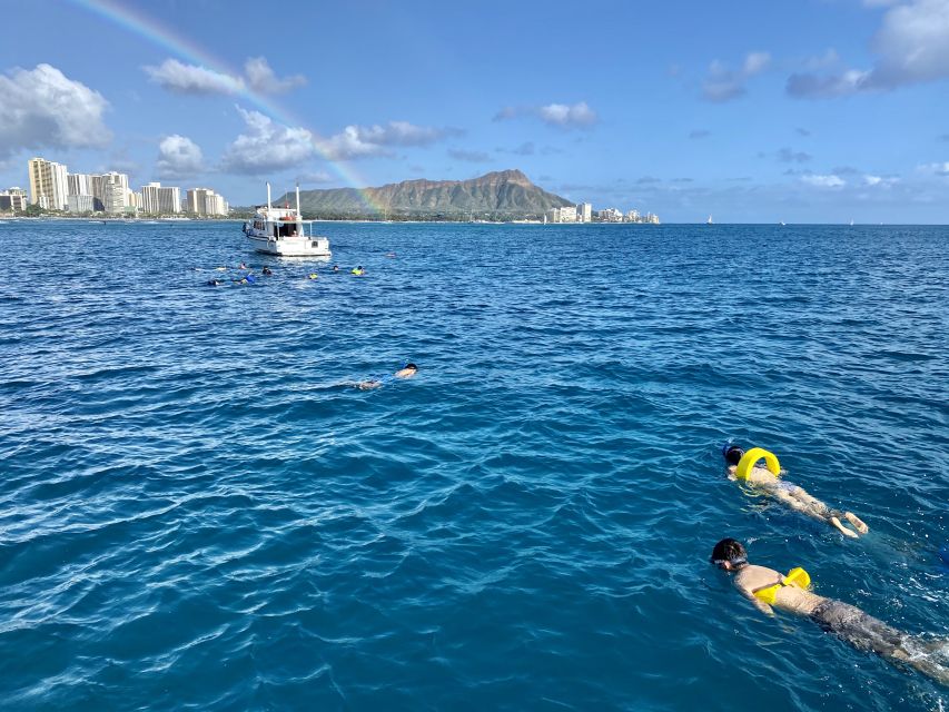 Oahu: Private Turtle Snorkeling with Customizable Itinerary - Setting out from Kewalo Basin Harbor