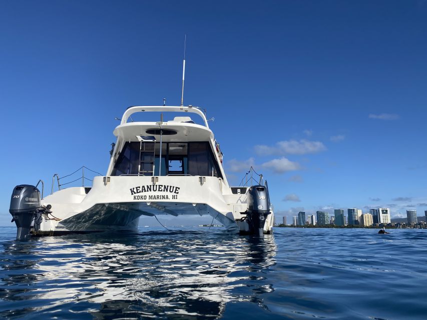 Oahu: Private Turtle Snorkeling with Customizable Itinerary - Why an early departure may be the smart choice