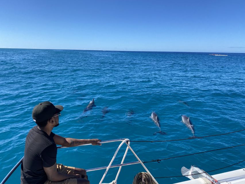 Oahu: Private Turtle Snorkeling with Customizable Itinerary - Who will enjoy this Oahu boat trip most