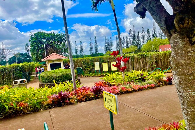 Oahu: Roundtrip Shuttle From Waikiki to Dole Plantation & Haleiwa - A six-hour route from Waikiki to Oahu’s North Shore