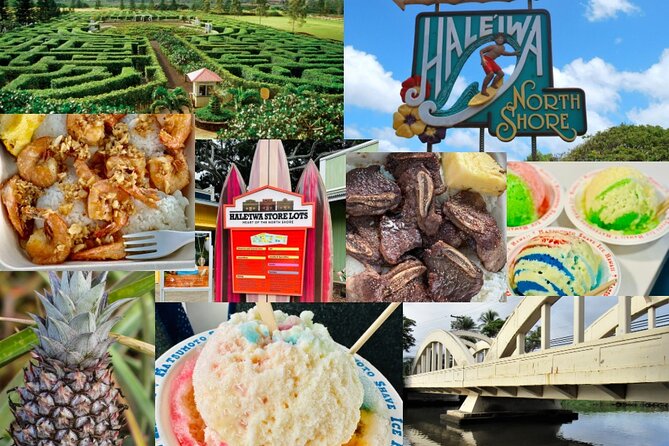 Oahu: Roundtrip Shuttle From Waikiki to Dole Plantation & Haleiwa - Who should choose this Oahu shuttle?