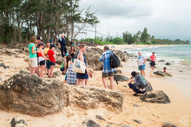 Oahu's Cheapest Circle Island Tour - Waikiki to Diamond Head: an early start with a wide view