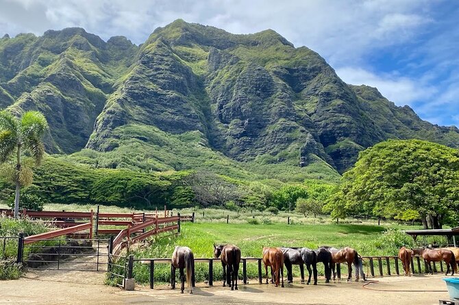 Oahu's Fun and Foodie Tour Groups of 5 or more Only! - Kualoa Ranch Appears as a Scenic and Cultural Landmark