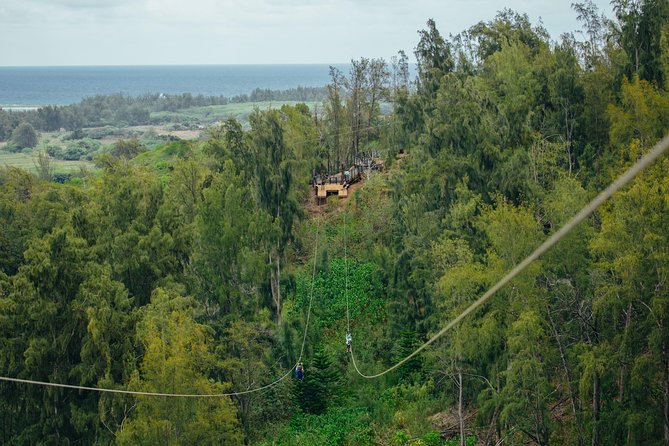 Oahu's North Shore: 8-Line Zipline Adventure - Rappels, bridges, and boardwalks between the lines