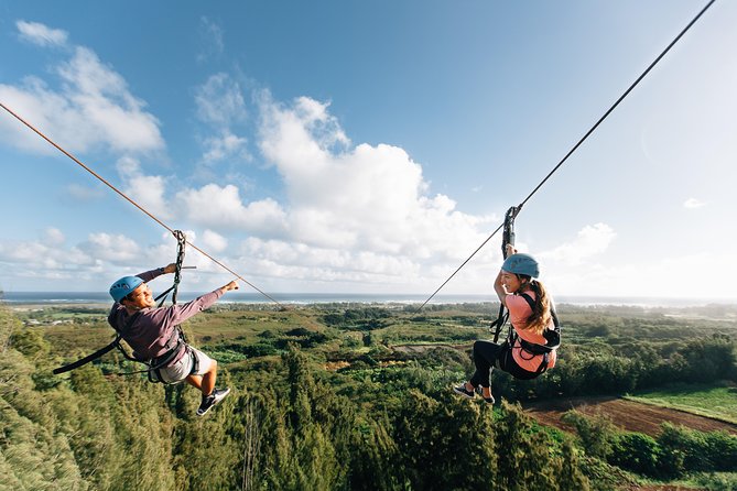 Oahu's North Shore: 8-Line Zipline Adventure - Who will enjoy this North Shore adventure