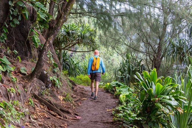 Oahu's North Shore Self-Guided Audio Tour - Key points to know before you go