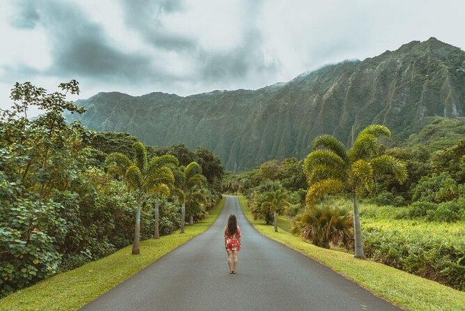 Oahu's North Shore Self-Guided Audio Tour - Shave ice, turtles, and famous surf breaks