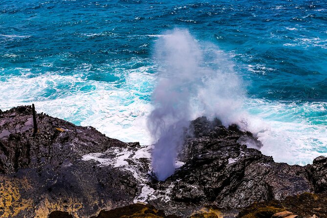 Oahu's Ultimate Grand Circle Island Tour with Snorkeling and More - Snorkeling at Haleiwa Beach Park