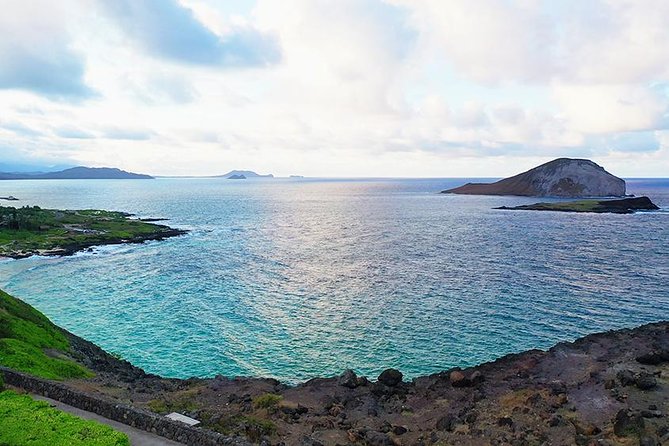 Oahu's Ultimate Tour: Dole, Turtle Snorkel, Pali Lookout & More - What this long Oahu day is really like