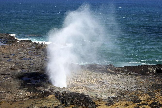 Oahu's Ultimate Tour: Dole, Turtle Snorkel, Pali Lookout & More - Tropical Farms and the road to the North Shore