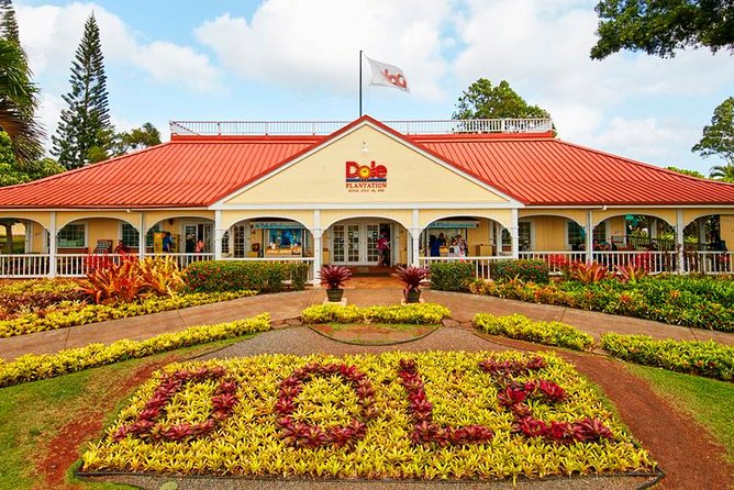 Oahu's Ultimate Tour: Dole, Turtle Snorkel, Pali Lookout & More - Dole Plantation and the final pineapple stop