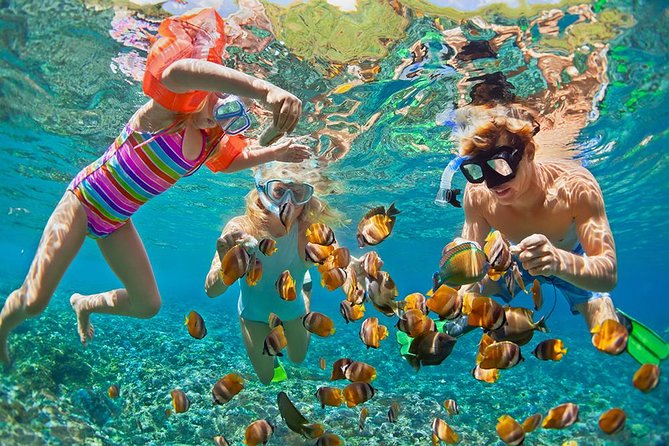 Oahu's Ultimate Tour: Dole, Turtle Snorkel, Pali Lookout & More - Diamond Head Lookout, not the crater hike