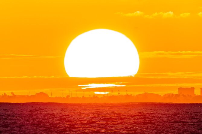 Oahu's Waikiki Coast: Moana’s Sunset Cocktail Sail - Wildlife adds a welcome surprise