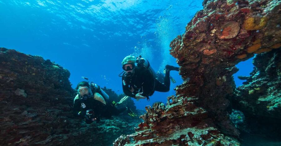Oahu: Shallow Reef Scuba Dive for Certified Divers - Starting at Dive Oahu in Ala Moana