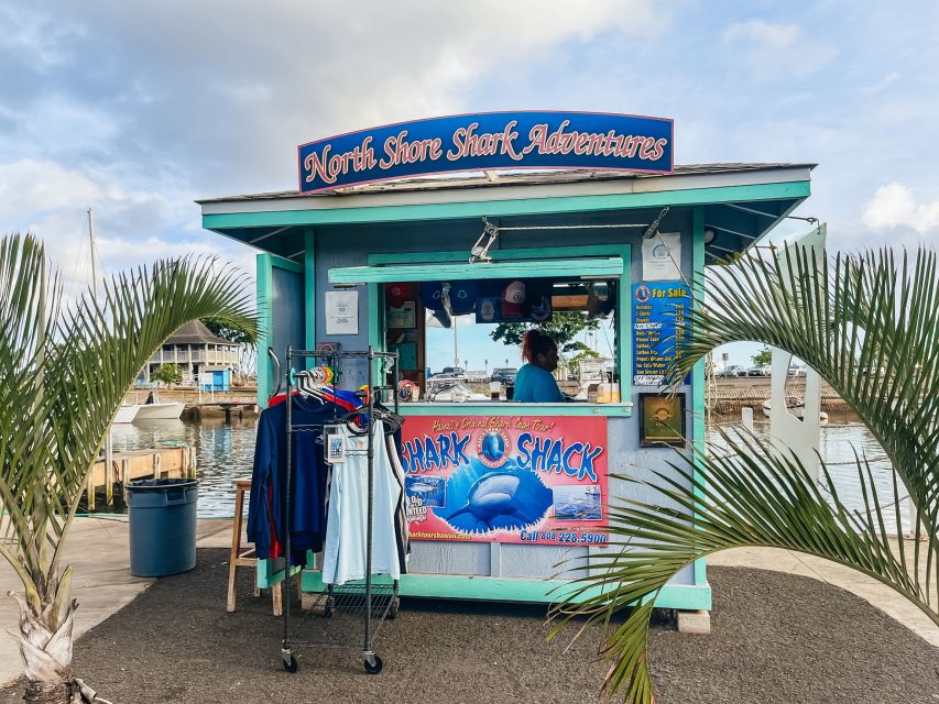 Oahu: Shark Cage Dive on the North Shore - What happens when you reach the sharks