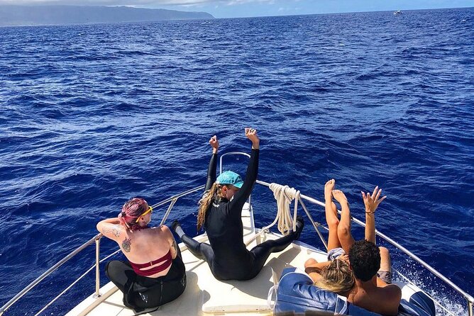 Oahu Shark Dive Educational Tour (No cage) - Waialua Bay Adds More Than Sharks