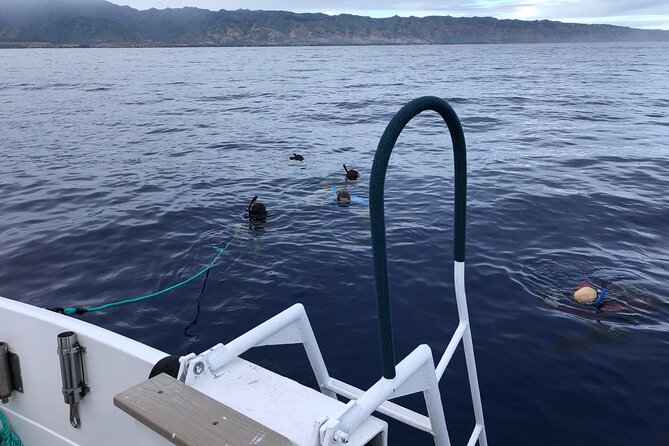 Oahu Shark Dive Educational Tour (No cage) - Puaʻena Point for a Quieter Beach Stop