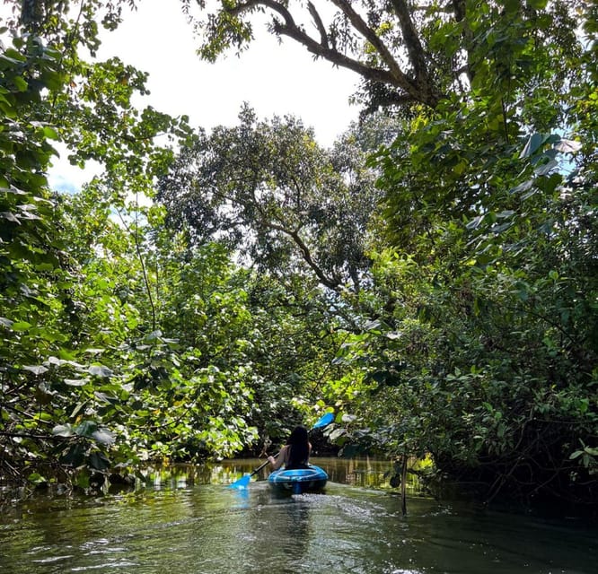 Oahu: Single & Double Kayak 3-Hour River Rental - A quiet way to see Kahana River