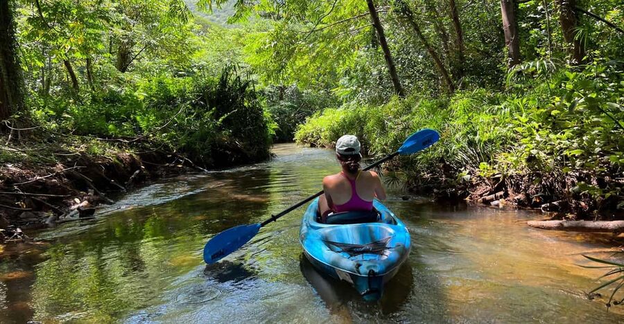 Oahu: Single & Double Kayak 3-Hour River Rental - How much value do you get for $75?