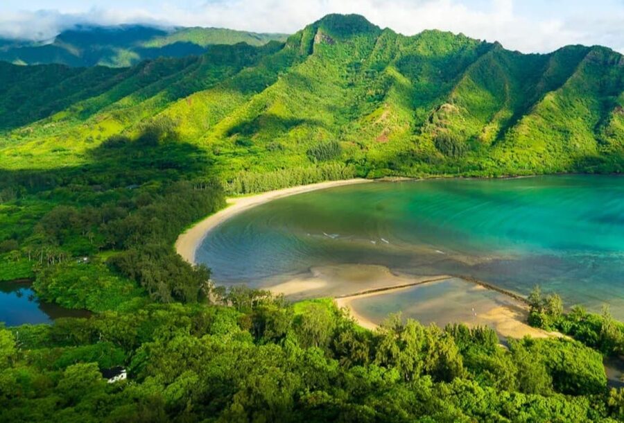 Oahu: Single & Double Kayak 3-Hour River Rental - Who will enjoy this most