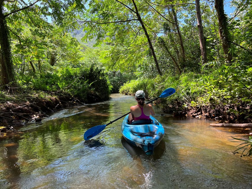 Oahu: Single & Double Kayak 3-Hour River Rental - Weather, pace, and expectations