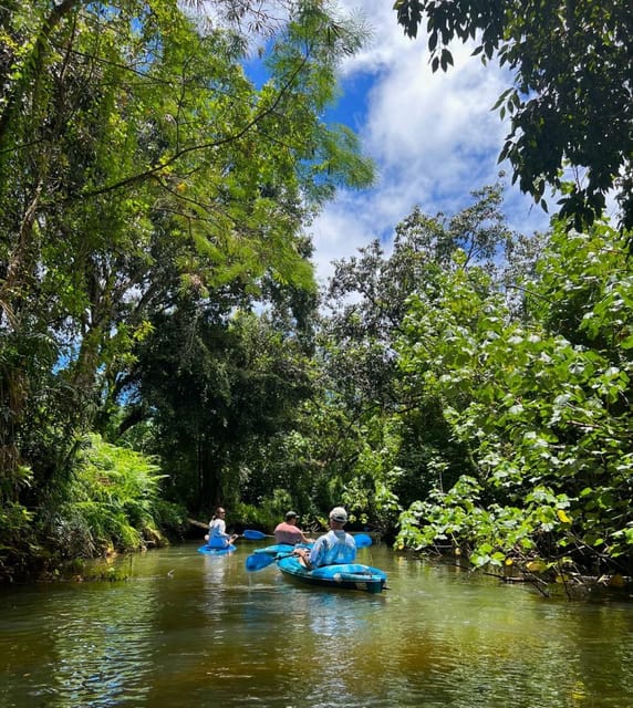 Oahu: Single & Double Kayak 3-Hour River Rental - Choosing between a single and double kayak