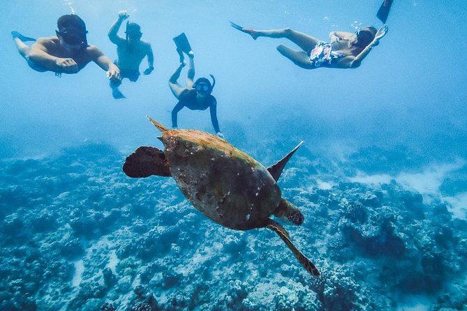 Oahu Small Group Snorkel Tour with Yacht Cruise - Who Will Enjoy This Morning Most