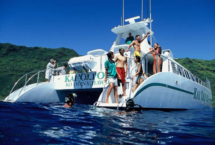 Oahu: Snorkeling & Dolphin Watch Cruise with Hawaiian Buffet - Key points to know before booking