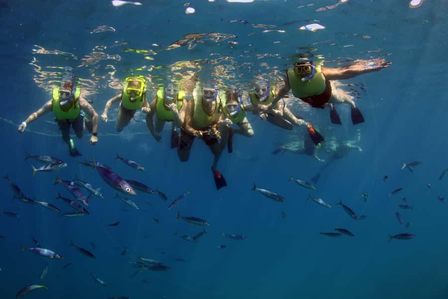 Oahu: Snorkeling & Dolphin Watch Cruise with Hawaiian Buffet - A Hawaiian buffet served at sea
