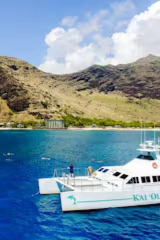 Oahu: Snorkeling & Dolphin Watch Cruise with Hawaiian Buffet - Is $182 a fair price?
