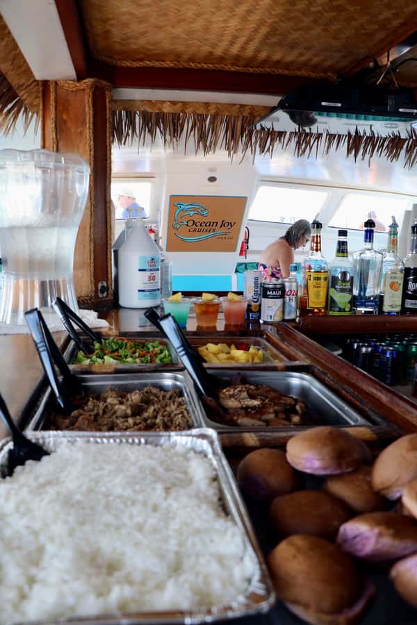 Oahu: Snorkeling & Dolphin Watch Cruise with Hawaiian Buffet - Who will enjoy this cruise most?