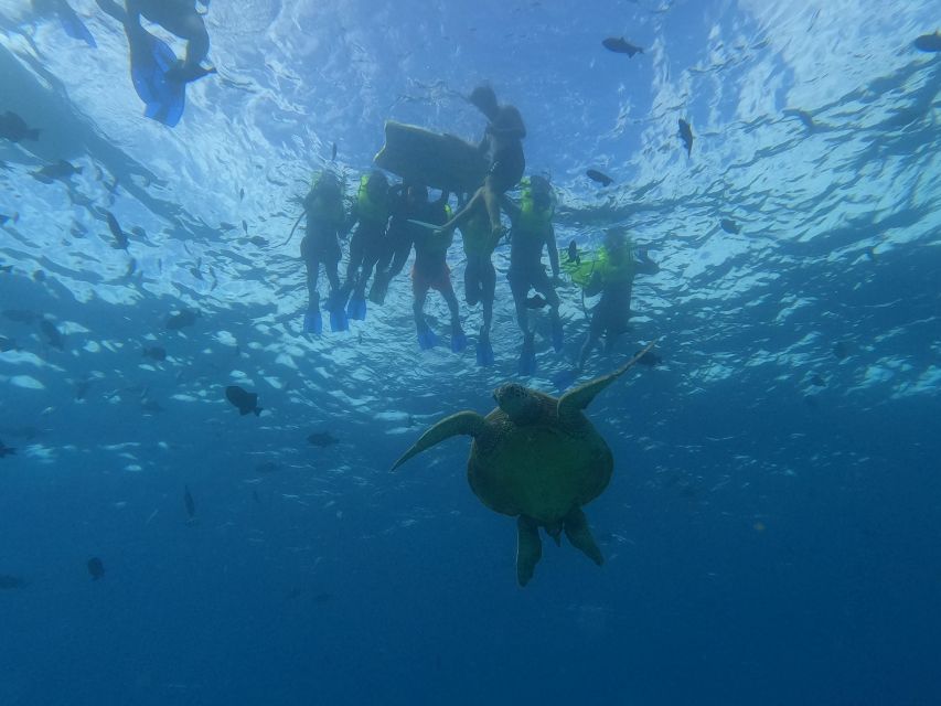 Oahu Snorkeling with Turtles, Water Scooter, Paddleboard - Cruising on a newly built catamaran