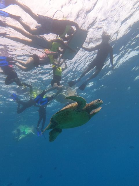 Oahu Snorkeling with Turtles, Water Scooter, Paddleboard - Snorkeling with turtles and fish