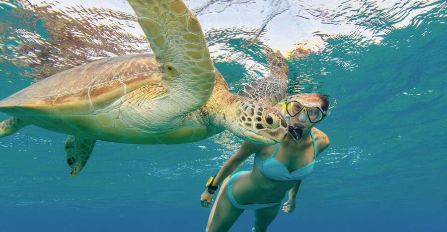 Oahu Snorkeling with Turtles, Water Scooter, Paddleboard - Trying the electric water scooter