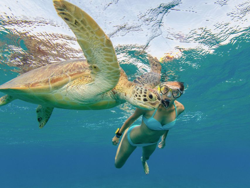Oahu Snorkeling with Turtles, Water Scooter, Paddleboard - Who will enjoy this most