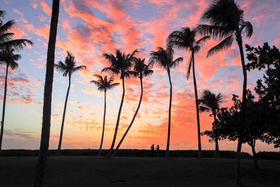 Oahu: Sunset Cruise of West Oahu with Drinks and Appetizers - Setting out from West Oahu’s harbor