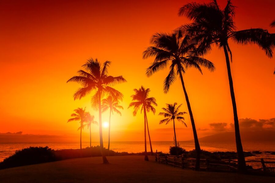 Oahu: Sunset Cruise of West Oahu with Drinks and Appetizers - Following the Leeward Coast at sunset