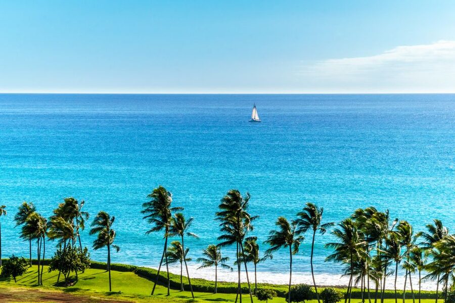 Oahu: Sunset Cruise of West Oahu with Drinks and Appetizers - How the value compares with a normal sunset outing
