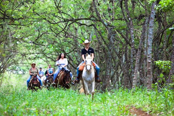 Oahu Sunset Horseback Ride - Why Gunstock Ranch makes a good sunset setting