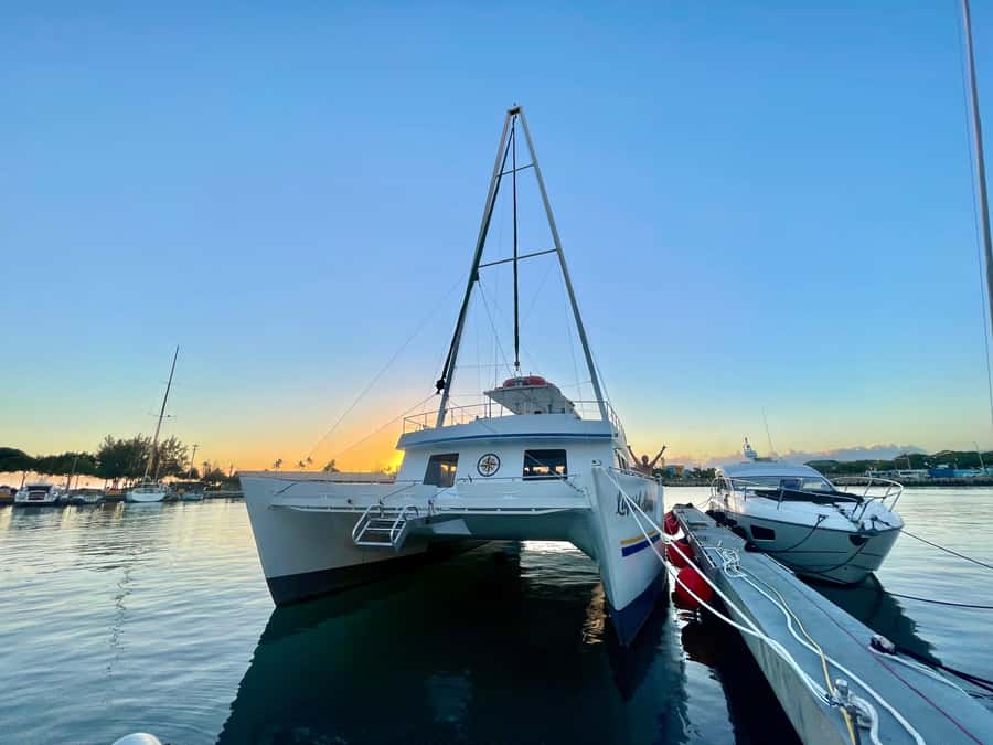 Oahu: Sunset Sail Cruise in Waikiki - The underwater viewing room and marine life
