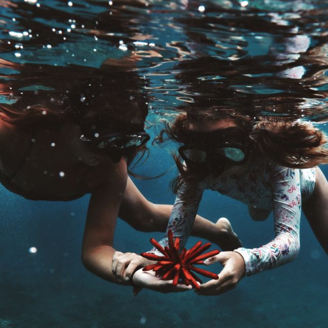 Oahu: Turtle Canyon Snorkeling Boat Tour - How the boat works for swimmers and non-swimmers