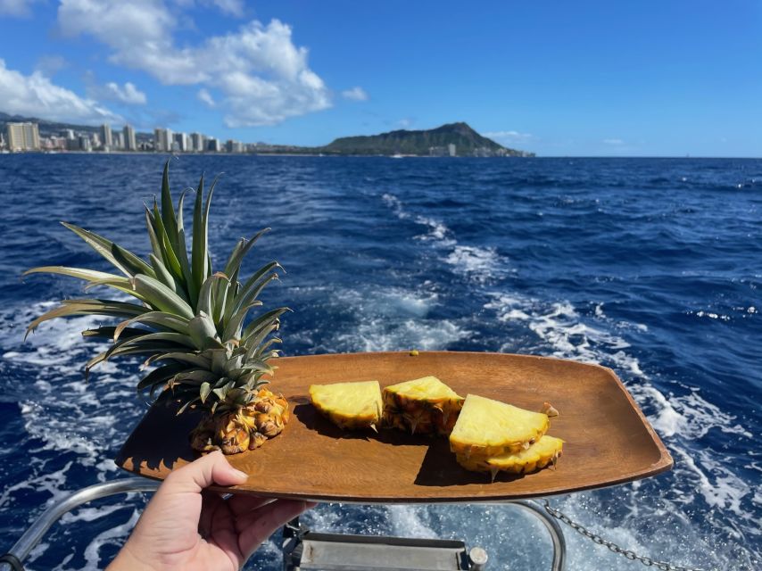 Oahu: Turtle Canyon Snorkeling Boat Tour - Is $85 a fair price for two hours?