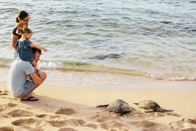 Oahu Ultimate Circle Island: 30 Spots, 10 Epic Stops - The return through Waikiki and Kaimana Beach